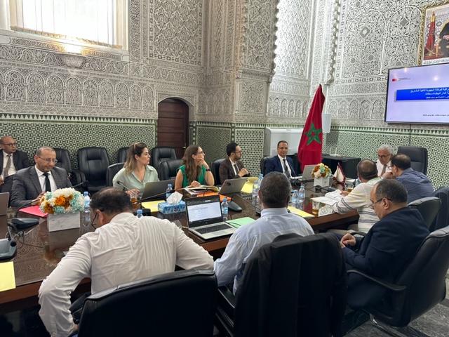 Tenue de la session ordinaire du mois de juin du Comité de Supervision et de Contrôle de l’Agence Régionale d’Exécution des Projets (AREP) de la Région Casablanca-Settat